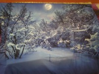 /album/nuovi-arrivi/dsc-7235-jpg/